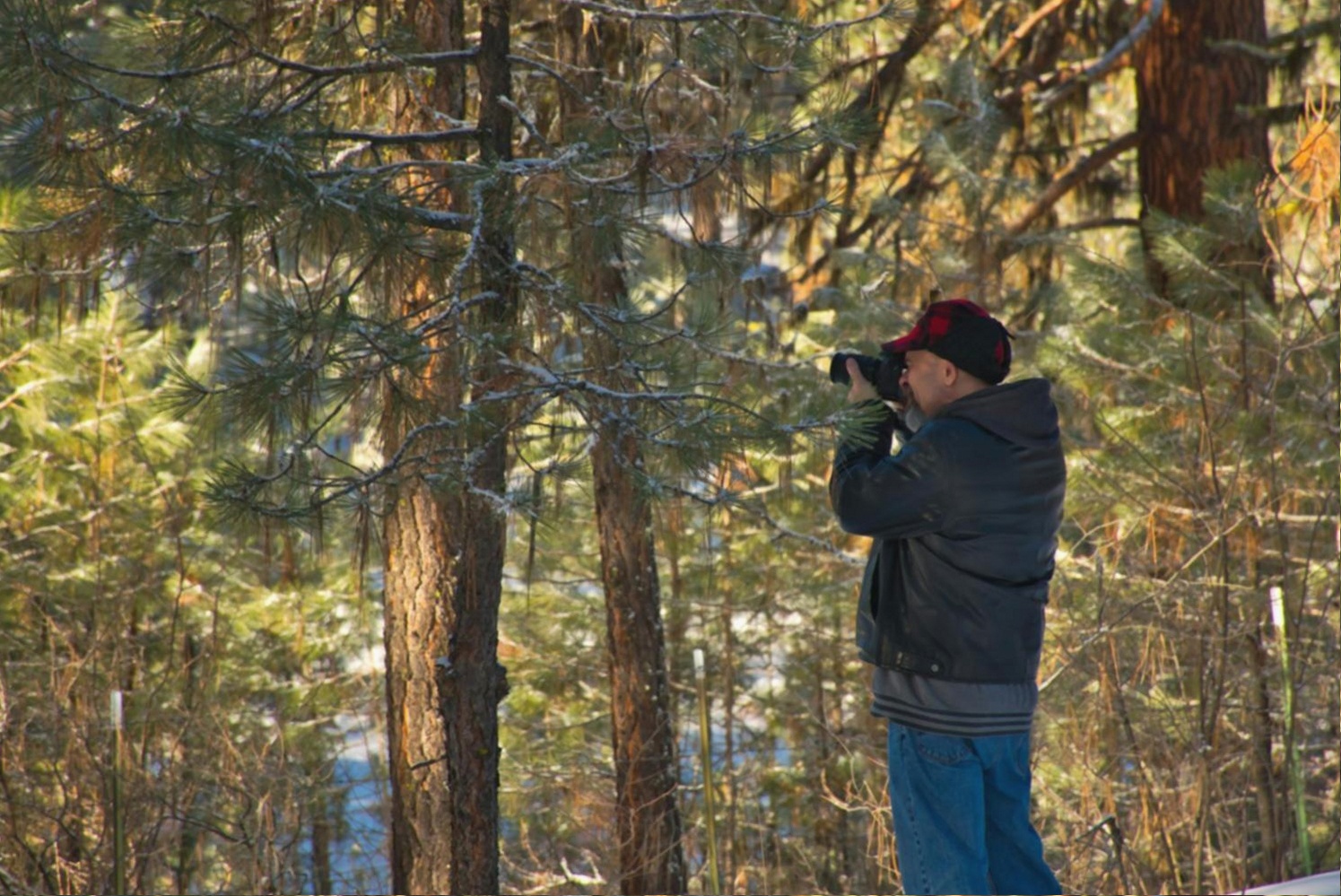 Ergebnis eines thematischen Shootings