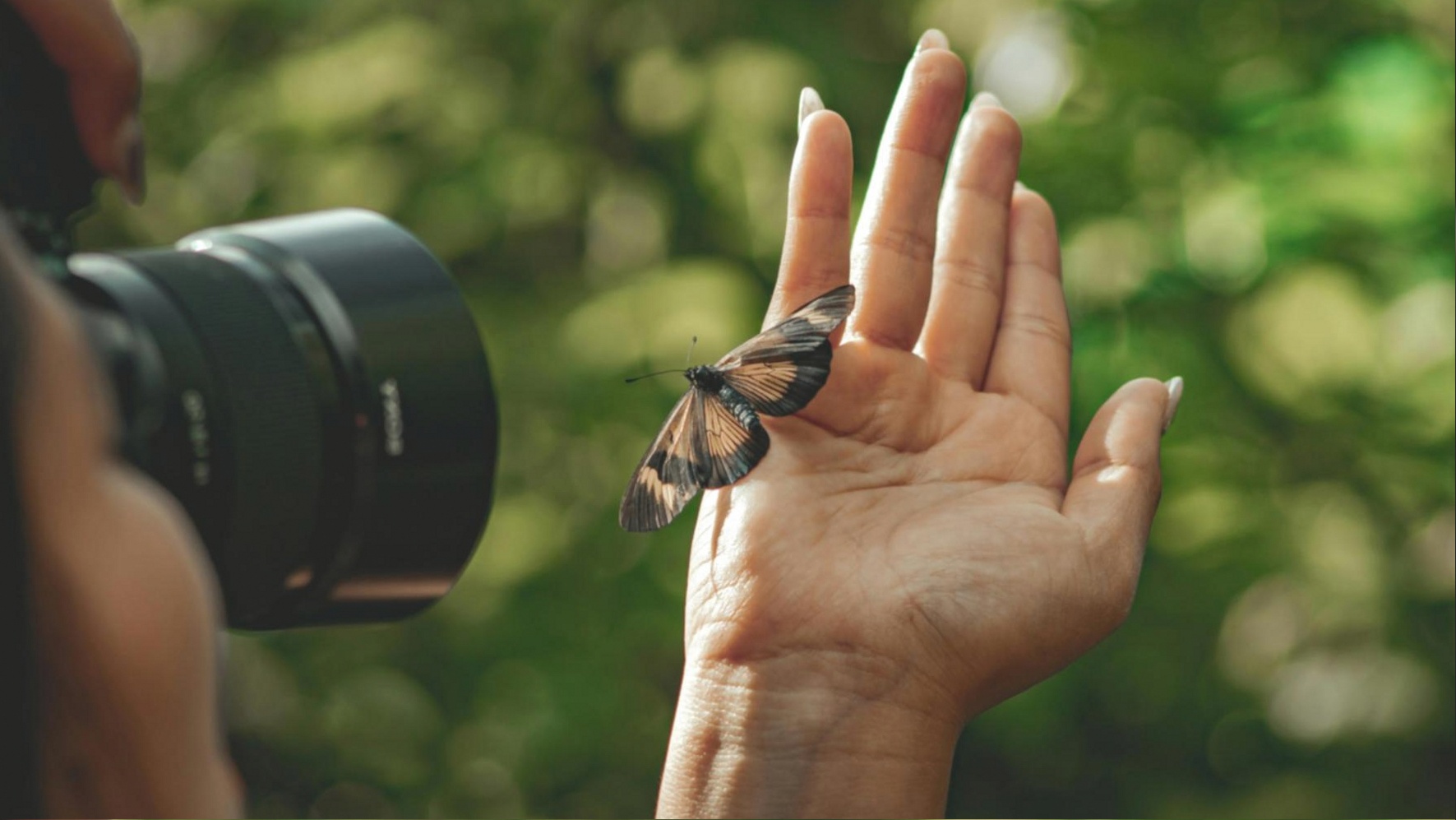 Thematisches Fotoshooting — Vorbereitung und Umsetzung